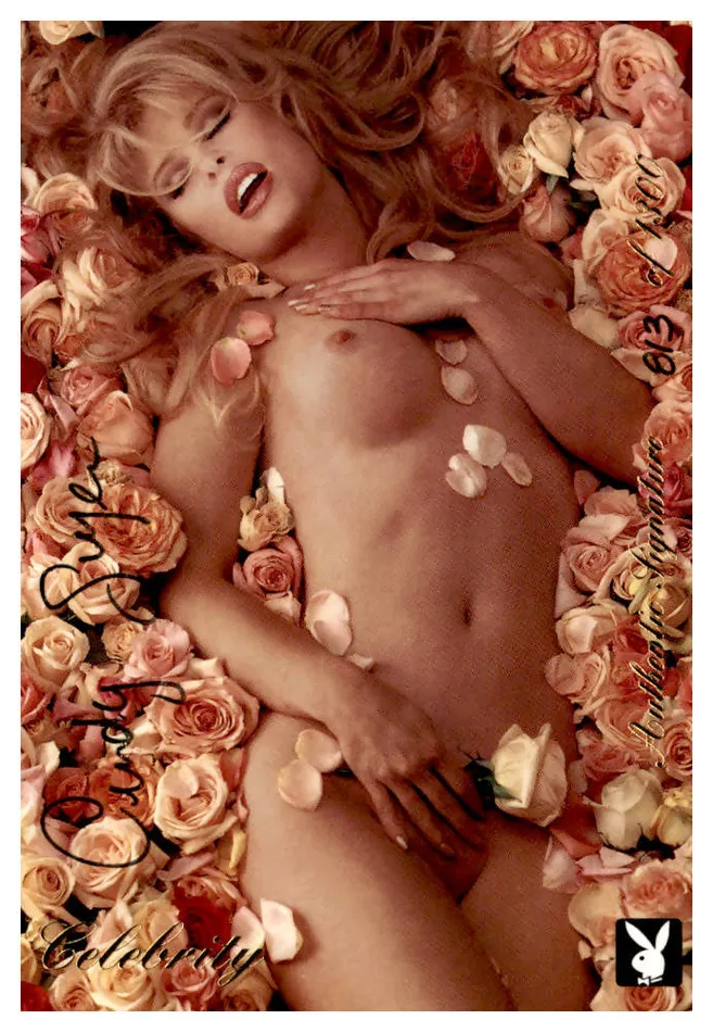 December Jumbos CYNDI GUYER 8131300 JimS Cards and More Vibrators