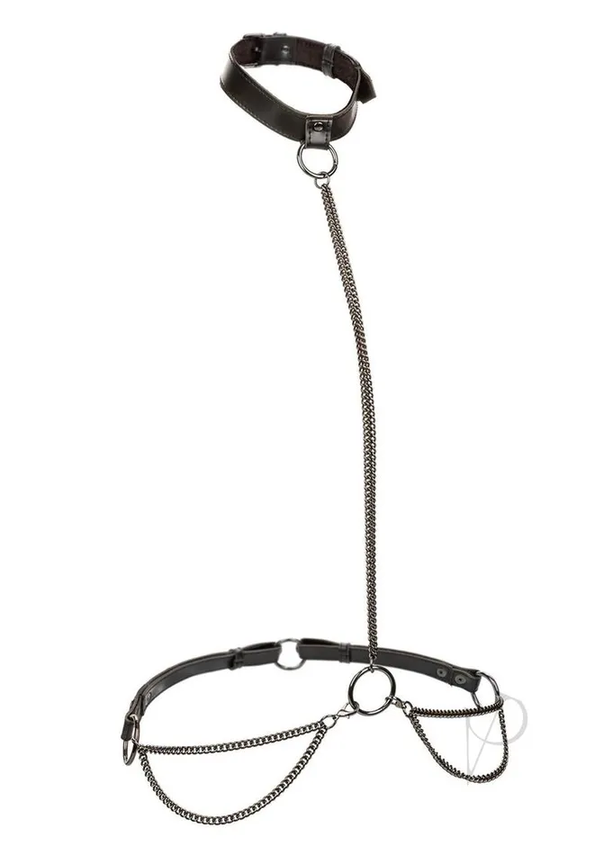Euphoria Vibrators Euphoria Coll Chain Halter Col Leash