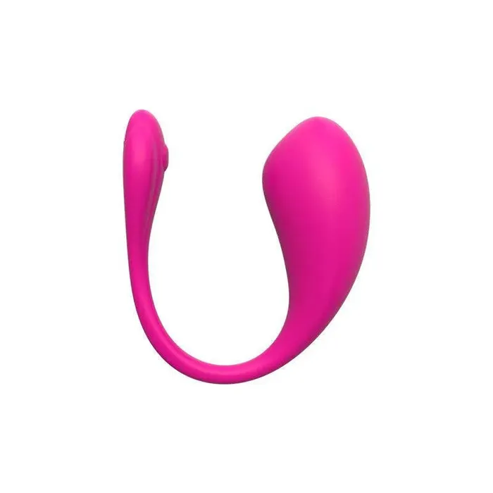 Xinghaoya Vibrators Bluetooth Love Egg Vibrator for Women