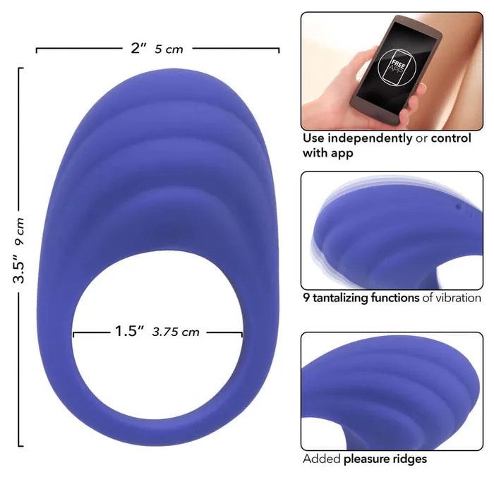 Couples CalExotics Calexotics Connect Couples Ring Periwinkle Couples CalExotics Calexotics Connect Couples Ring Periwinkle