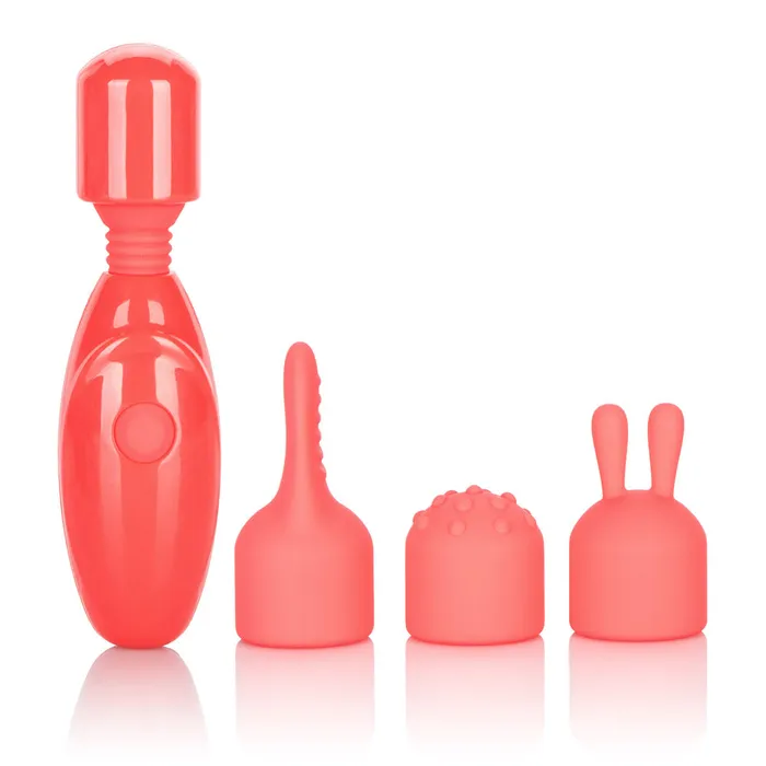 Female Sex Toys CalExotics Rechargeable Massager Kit