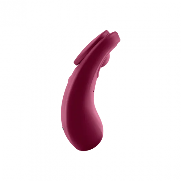 Vibrators Sexy Secret Wine Red Satisfyer