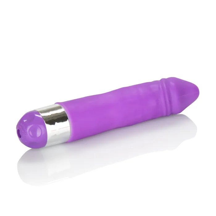 Vibrators Shanes World Silicone Buddy Purple CalExotics