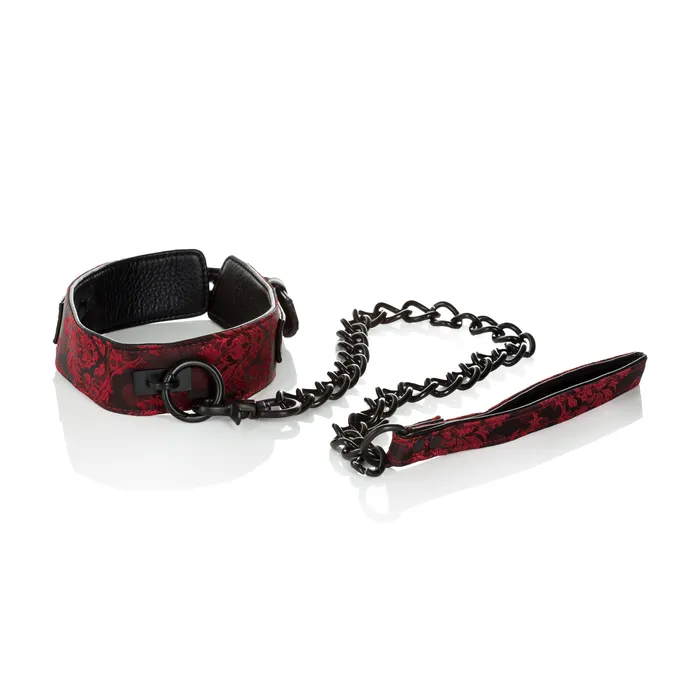 Male Sex Toys CalExotics Scandal Collar With Leash
