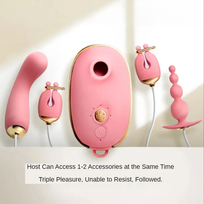 Lurevibe 4 In 1 Christmas Calendar For Female Lurevibe Female Sex Toys