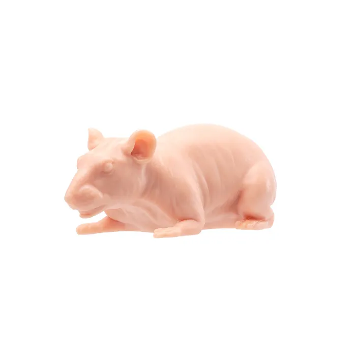 A Pound of Flesh A Pound of Flesh Tattooable Naked Rat Dildos