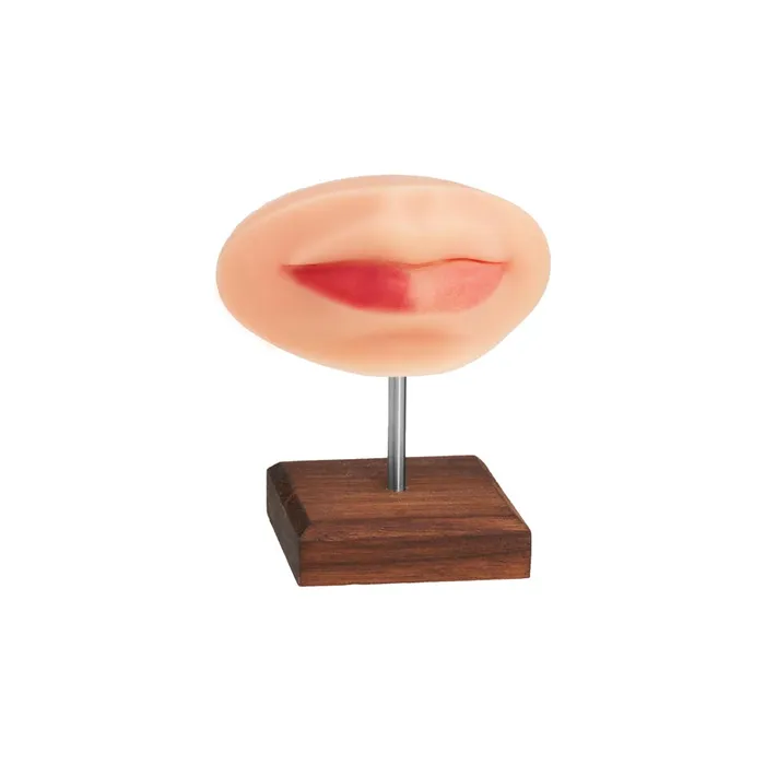 A Pound of Flesh Dildos A Pound of Flesh PMU Practice Lips and Piercing Body Bit Pick Skin Tone