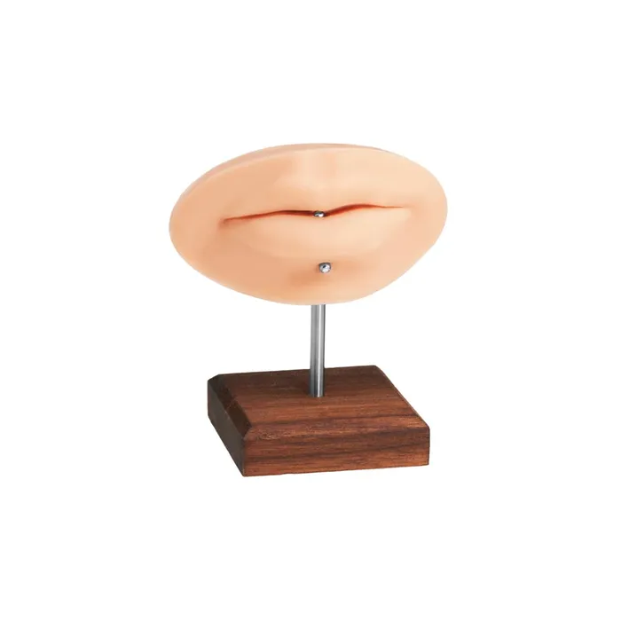 A Pound of Flesh Dildos A Pound of Flesh PMU Practice Lips and Piercing Body Bit Pick Skin Tone