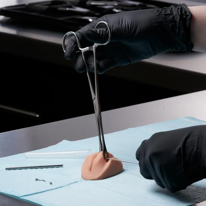 A Pound of Flesh Dildos A Pound of Flesh PMU Practice Lips and Piercing Body Bit Pick Skin Tone