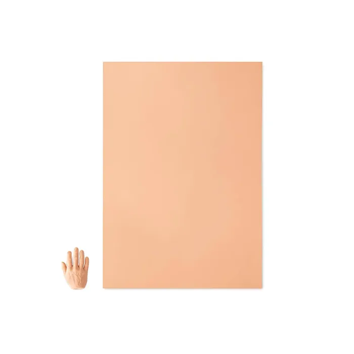 A Pound of Flesh Tattooable Synthetic Canvas 28 x 40 x 3mm Pick Skin Tone A Pound of Flesh Dildos