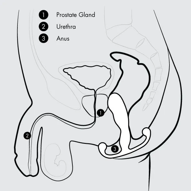 Aneros Male Sex Toys Aneros Progasm Jr HandsFree Prostate Stimulator