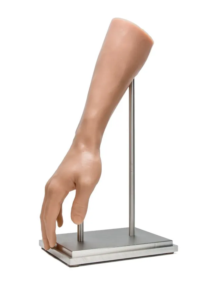 Dildos A Pound of Flesh Steel Display Stand for A Pound of Flesh Synthetic Arm