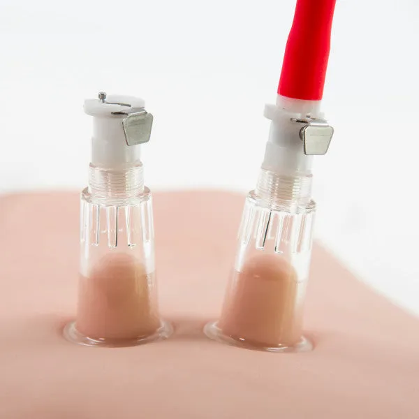 Female Sex Toys Blush Temptasia Beginners Breast and Clitoral Pumping System