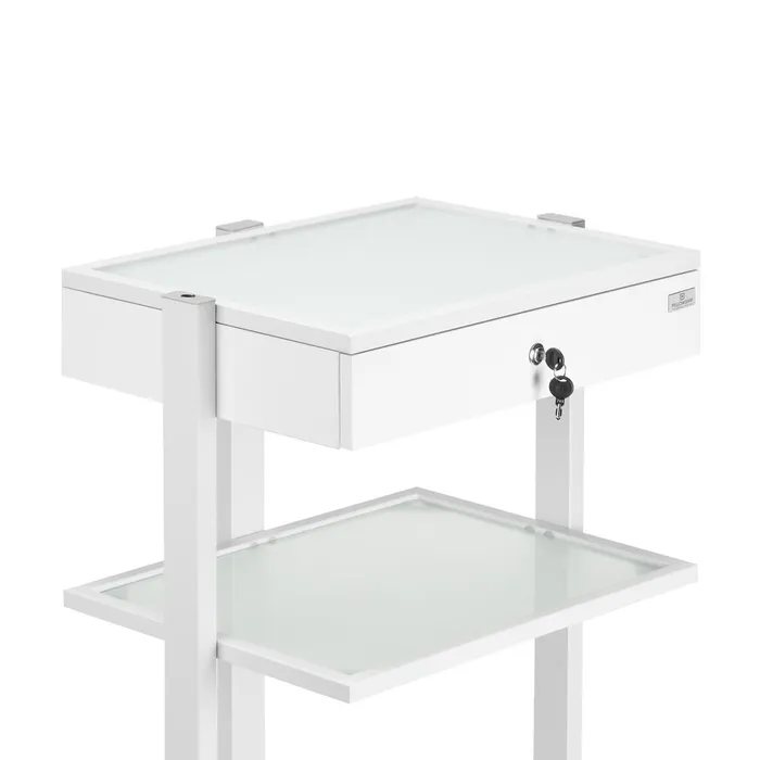 Male Sex Toys Fellowship Locking Cabinet for Rolling Cart White Fellowship Supply Co
