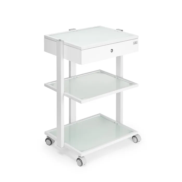 Male Sex Toys Fellowship Locking Cabinet for Rolling Cart White Fellowship Supply Co