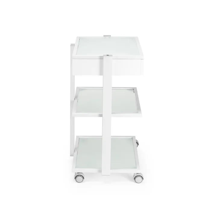 Male Sex Toys Fellowship Locking Cabinet for Rolling Cart White Fellowship Supply Co