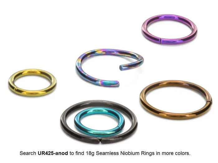 Painful Pleasures 18g Black Seamless Niobium Ring Price Per 1 Anal