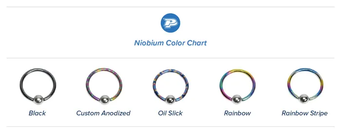 Painful Pleasures 18g Black Seamless Niobium Ring Price Per 1 Anal