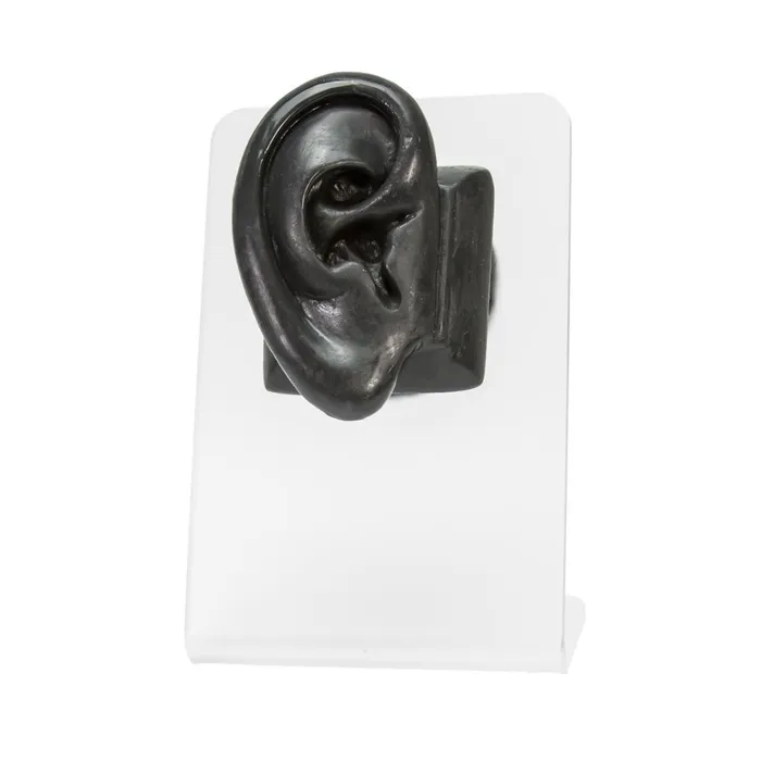 Painful Pleasures Anal Realistic AdultSized Silicone Right Ear Display Black Body Bit Version 2 Painful Pleasures Anal Realistic AdultSized Silicone Right Ear Display Black Body Bit Version 2