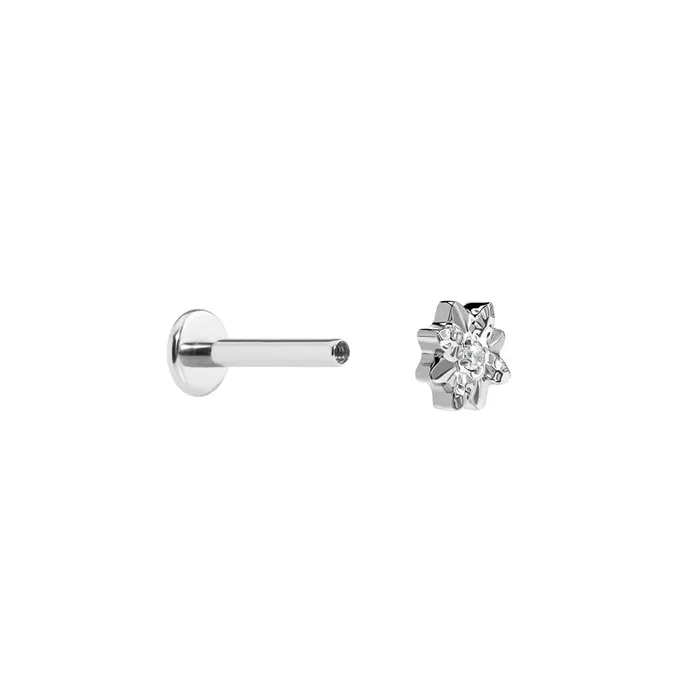 Painful Pleasures Vibrators Tilum 18g16g Internal Poinsettia Titanium Top Price Per 1