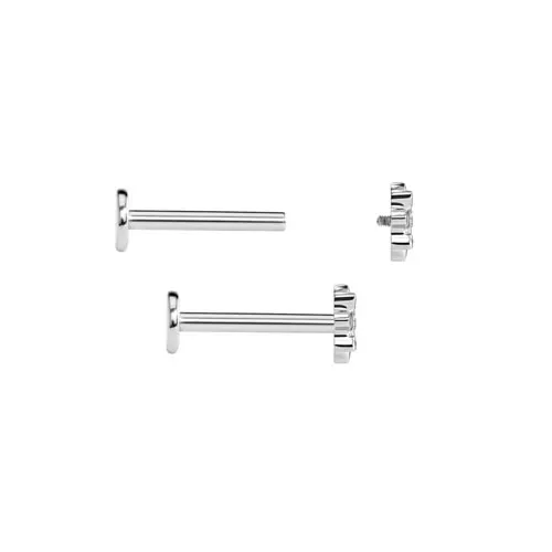 Painful Pleasures Vibrators Tilum 18g16g Internal Poinsettia Titanium Top Price Per 1