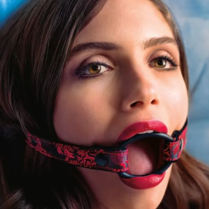 Scandal Wide Open Mouth Gag CalExotics Vibrators