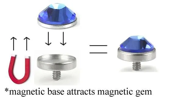 Tilum 14g 12g Internally Threaded 4mm Magnetic Dermal Base for Magnetic Top Price Per 1 Tilum Anal