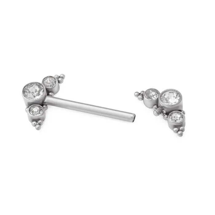 Tilum Nipple Clitoral Toys Tilum 14g 15mm Internal Jeweled Arrow Titanium Nipple Barbell Price Per 1