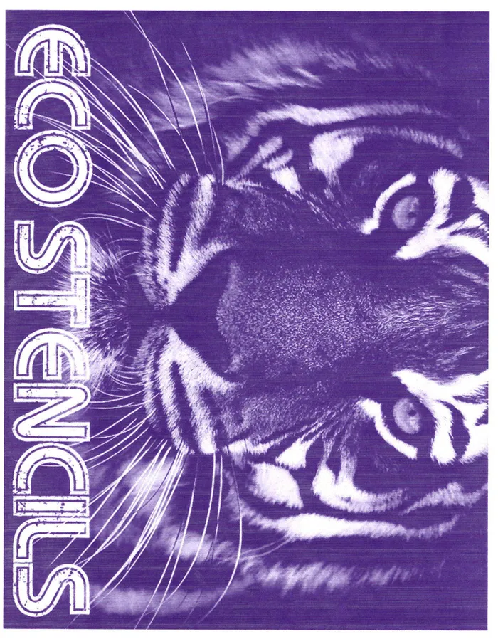 Vibrators Electrum Electrum Eco Stencils Printer Ink 4oz Bottle
